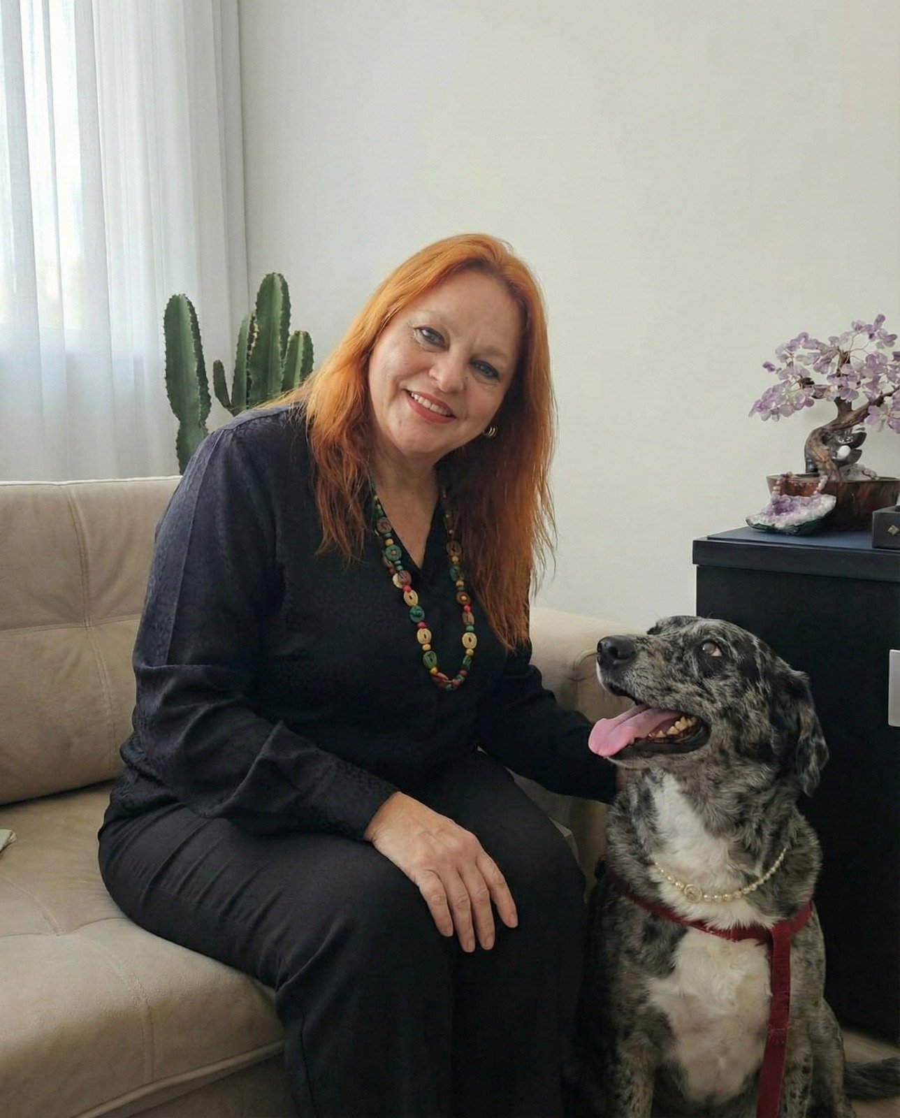 Ambiente Petfriendly da Clínica Pattar